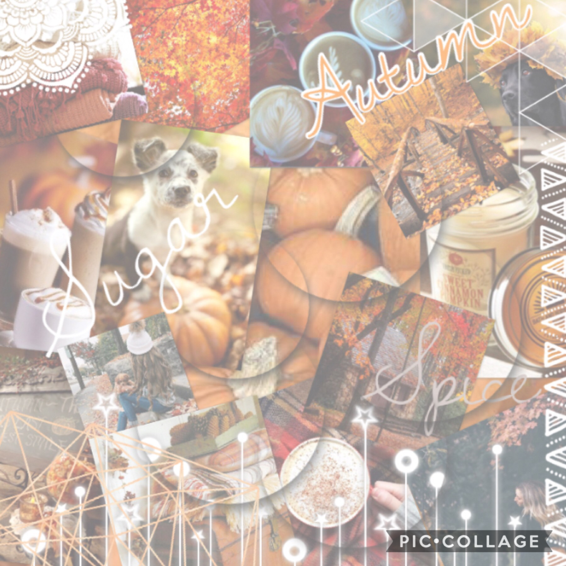 🍂Tap🍂 
My first collage that I’ve made with several photos! I hope you guys like it. It definitely took a while!!