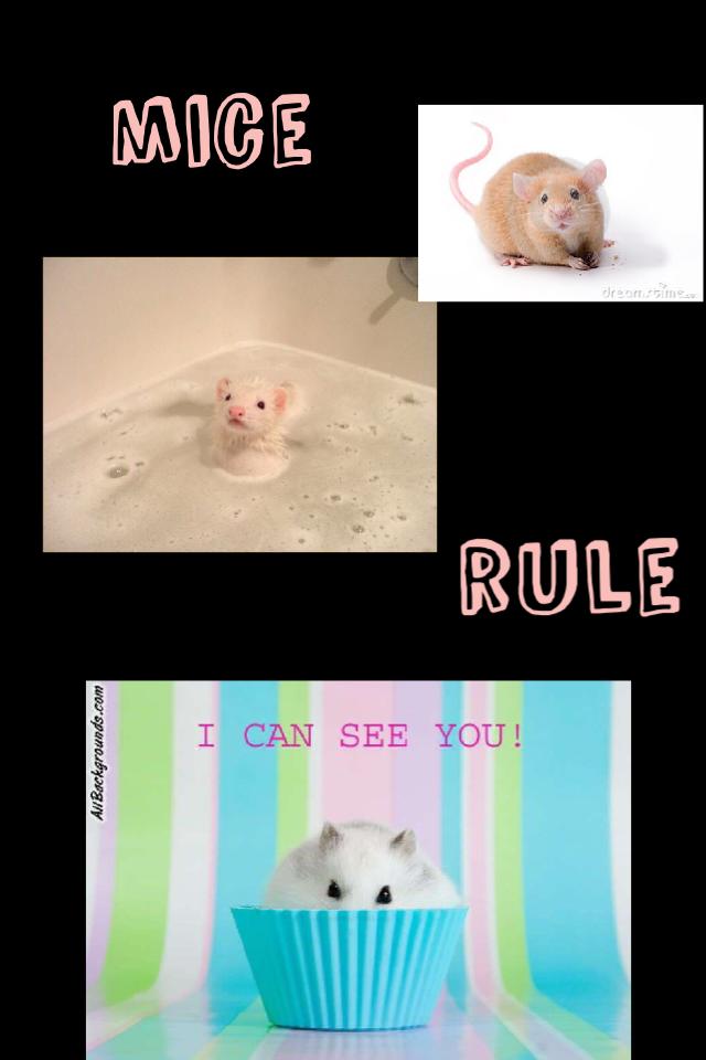 mice rule