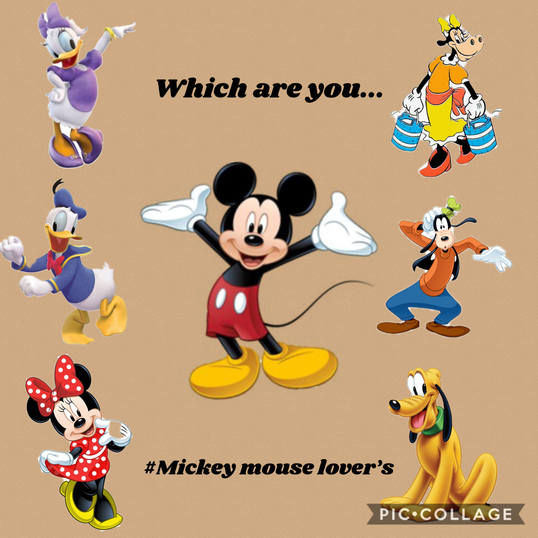 I absolutely love 💕 Mickey Mouse 
And I wanted to know which Mickey Mouse character you prefer? I have nooooo idea which one I would choose but if I could meet one it would be Mickey..... don’t tell them. 🤫