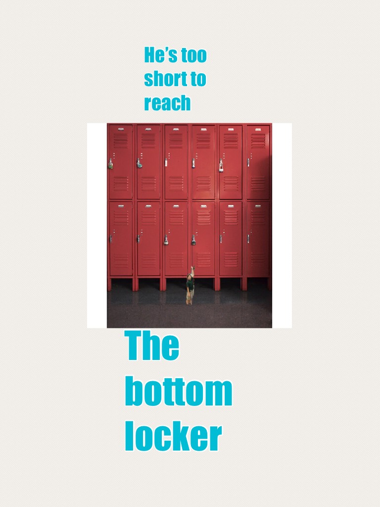 The bottom locker