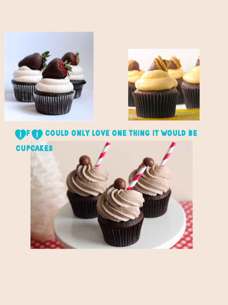 If I could only love one thing it would be cupcakes 