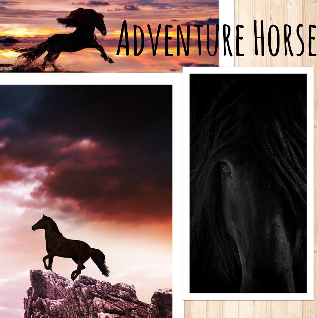 - Adventure Horse -