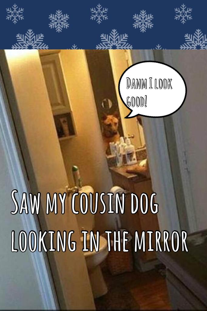 Saw my cousin dog looking in the mirror 