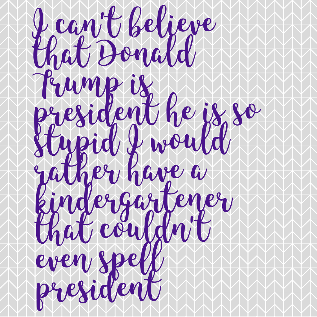 I can't believe that Donald Trump is president he is so stupid I would rather have a kindergartener that couldn't even spell president