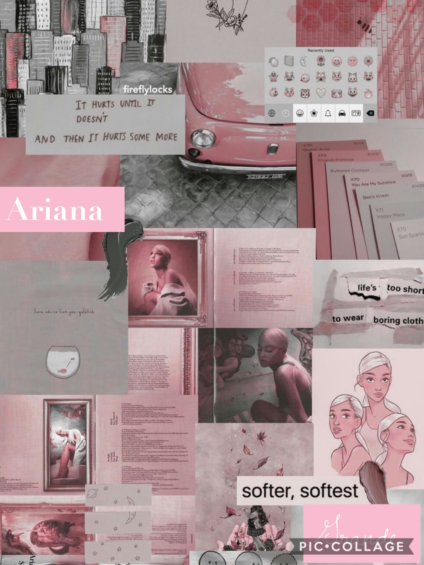 Ok i obviosly luv Ariana and hope yall like this !!!