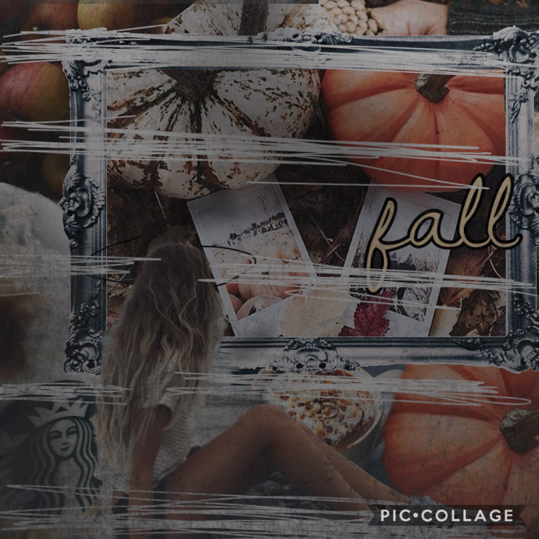 -TAP-
Okay
So it’s almost autumn my second favorite season.
Swim Team Starts soon 
Oh and one of the photos in this collage is one that took so try to guess it?
Qotd-Summers or Autumn 
Aotd- Autumn (besides school starting)