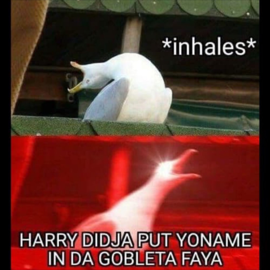 said dumbledore calmly