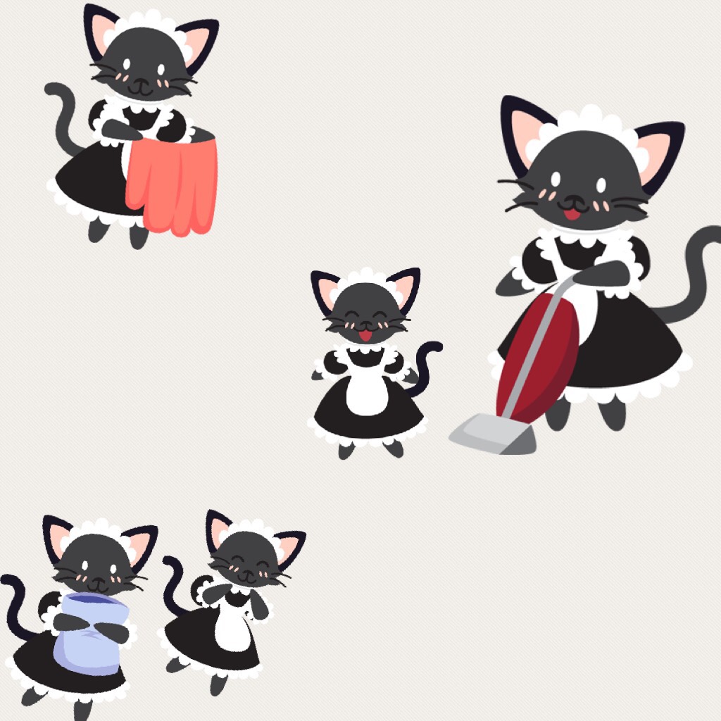 Kitty maids 
(Wish I had those) 😄😁