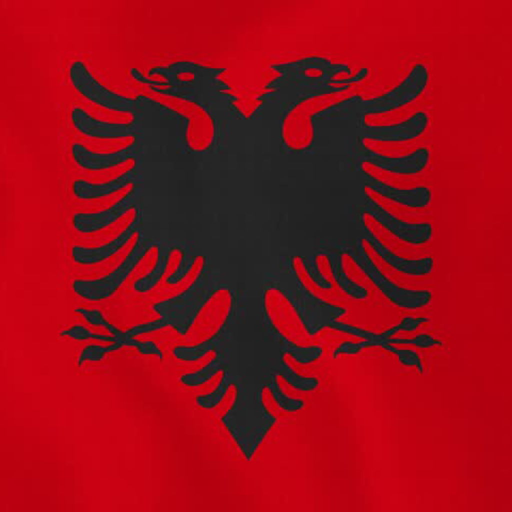 Happy Albanian Independence Day! 🇦🇱❤️🙏🏼🙂
Yes I am Albanian/ Kosovan 

Urime Dita e flamurit ❤️🇦🇱😍
