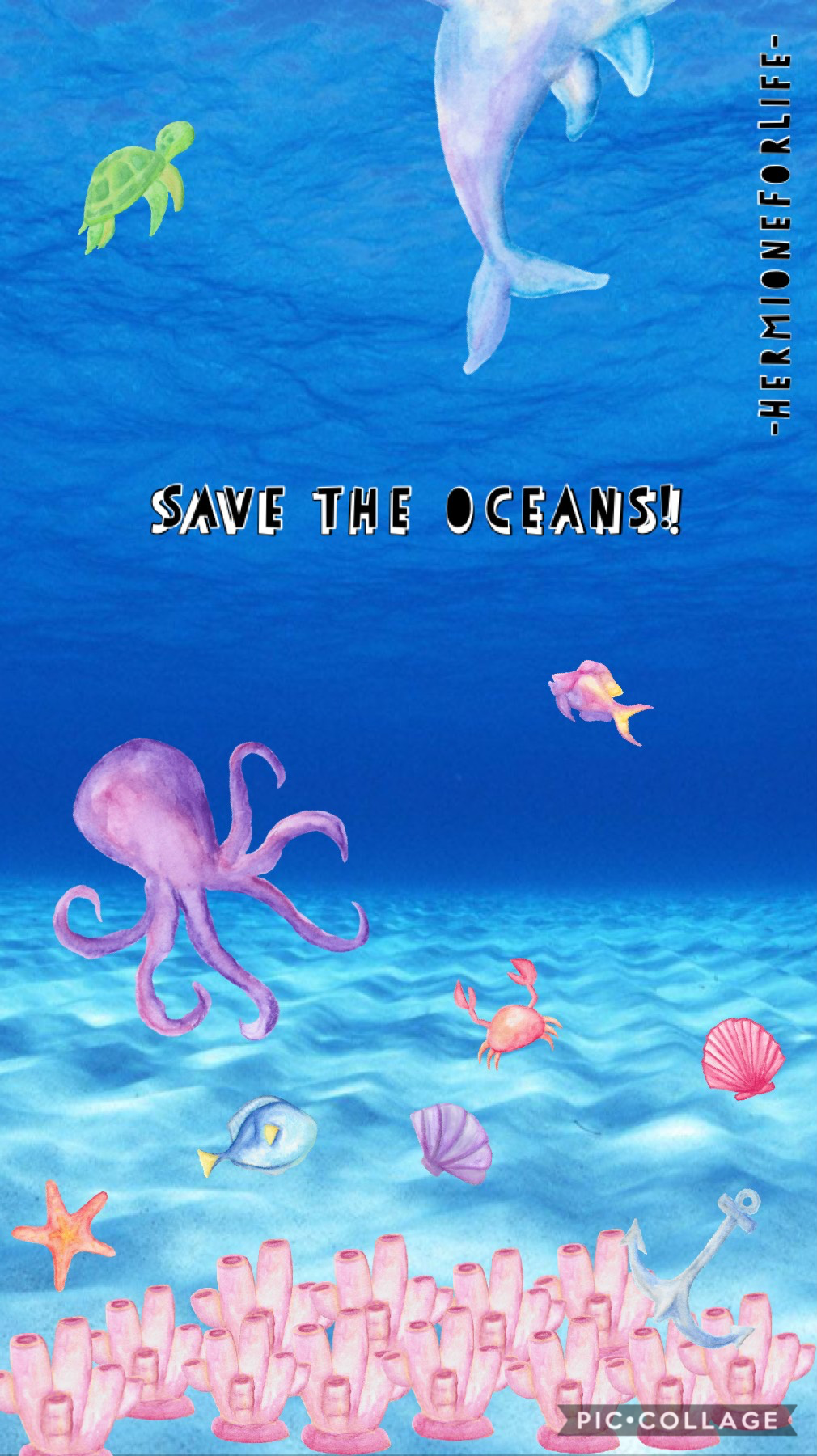 The oceans need help! Do your part in making them last a little longer.