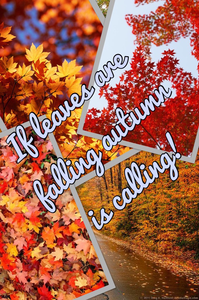 🍁this time of year if my favorite time of year

*comment done below and tell me what your favorite time of year is!🍁