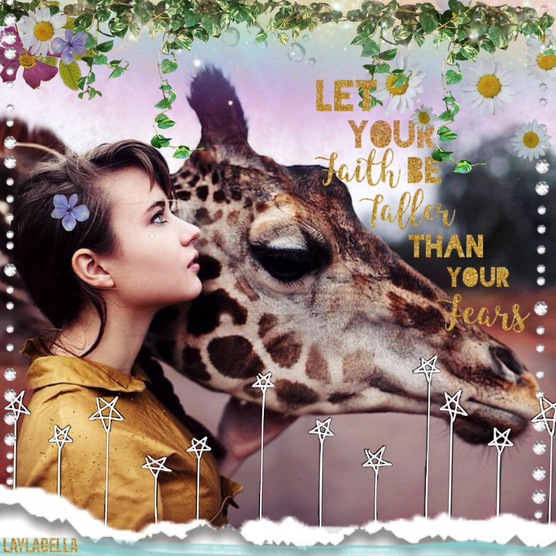 Please like this collage in my remixes...tap
What are your favorite animals 
I like all of them 
Except spiders and bugs 
Even though they aren't animals 
😂