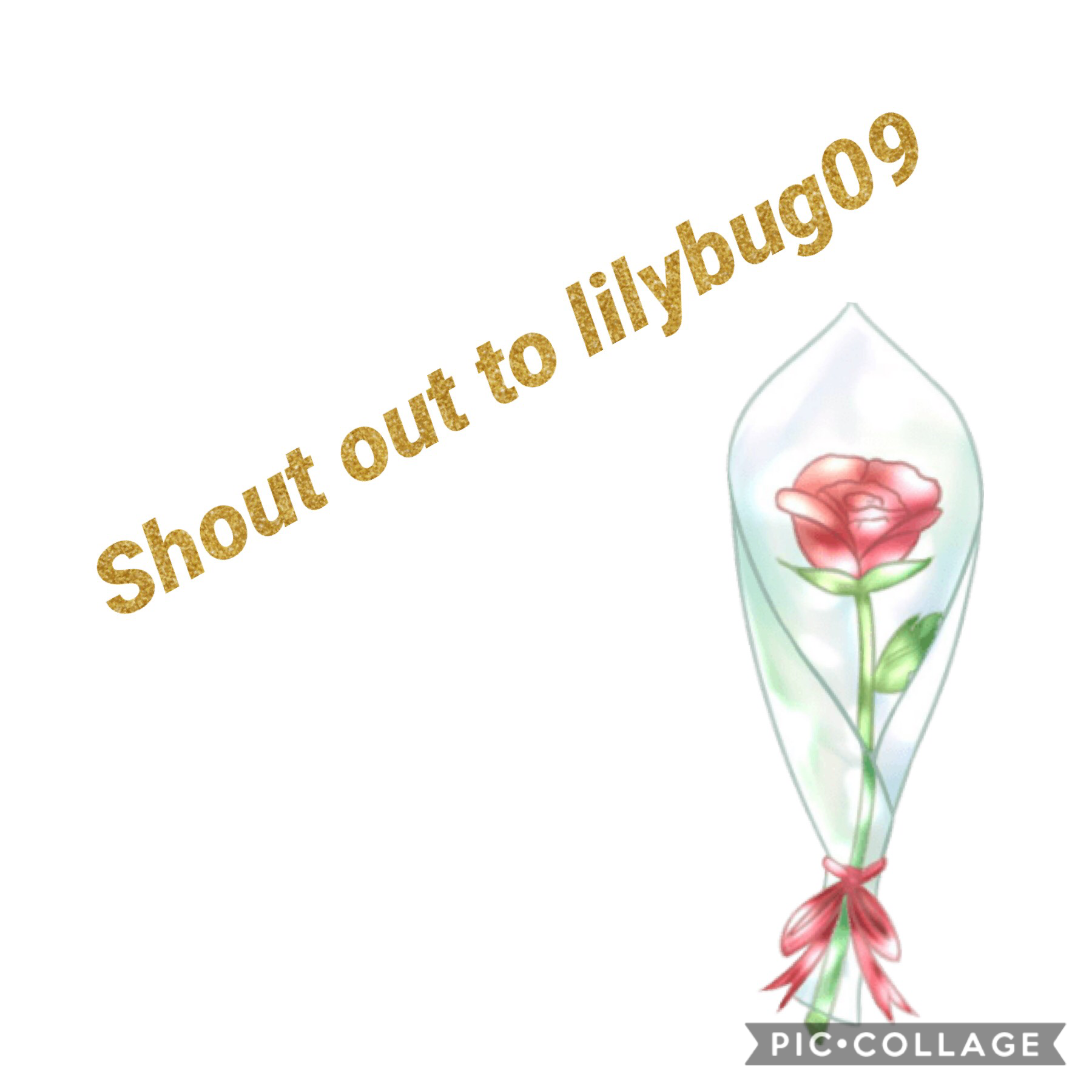 Lilybug09