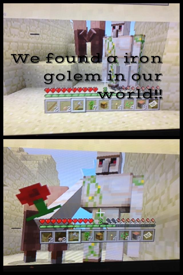 We found a iron golem in our world!!