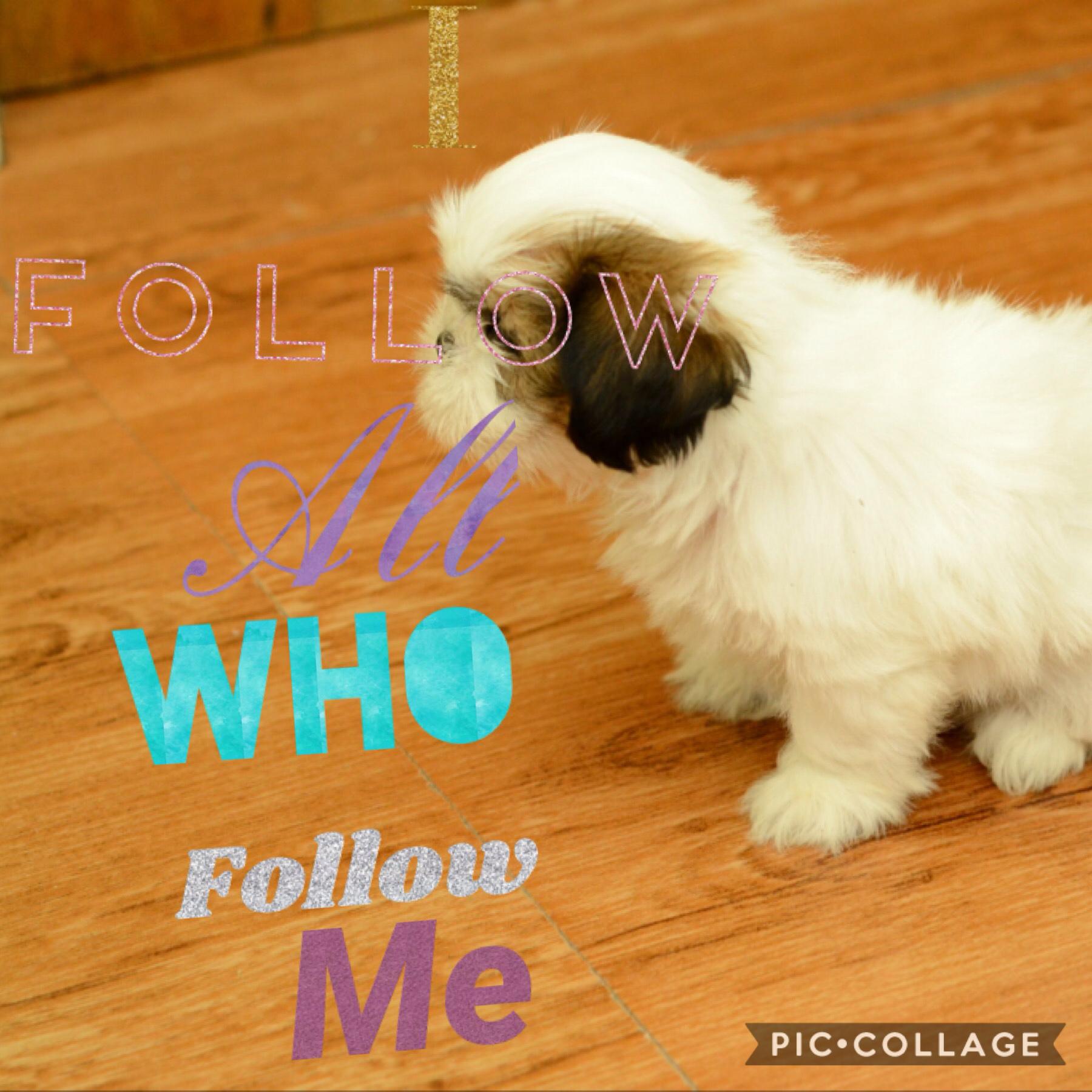 Following 