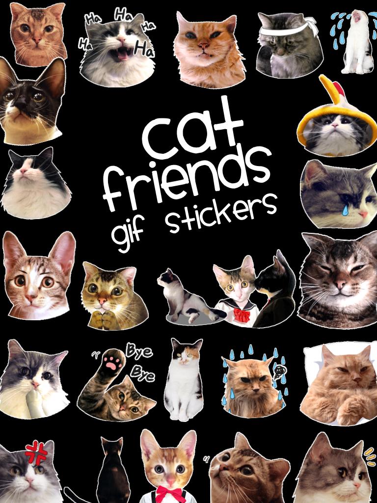 Cat friends gif stickers!