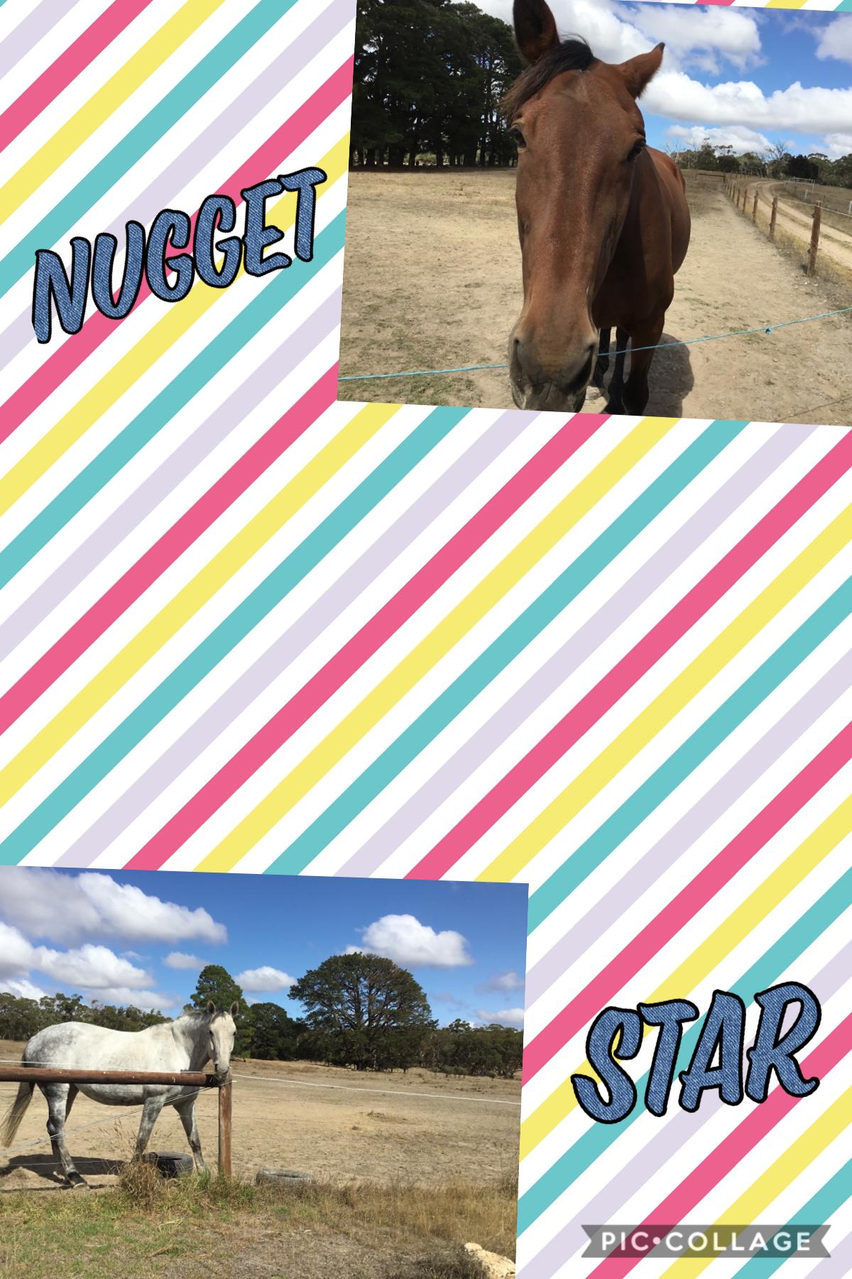 Nugget and Star