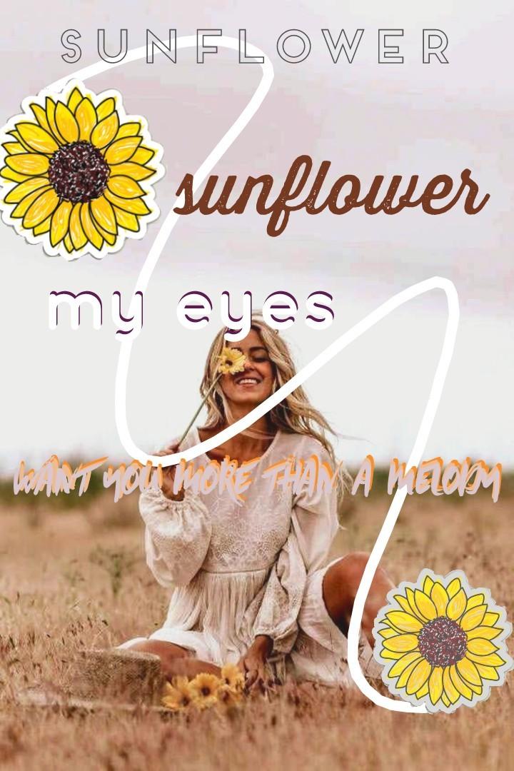 from Harry Styles' Sunflower Vol 6. 