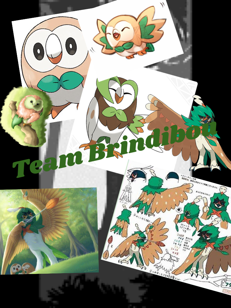 Team Brindibou !