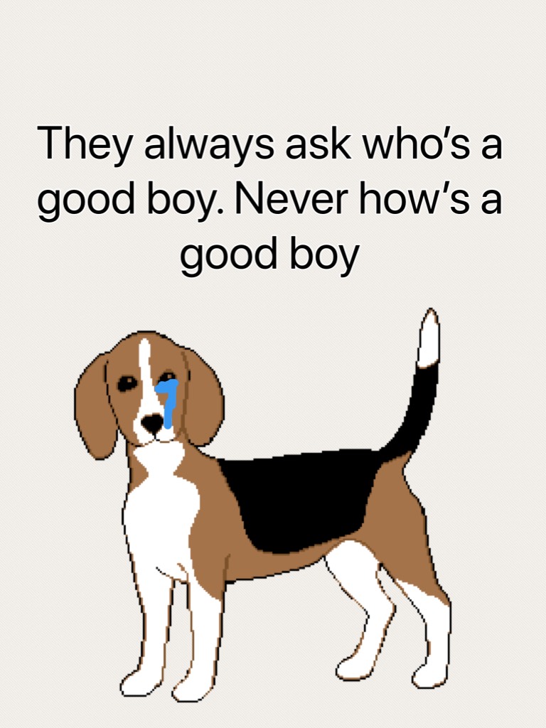They always ask who’s a good boy. Never how’s a good boy
