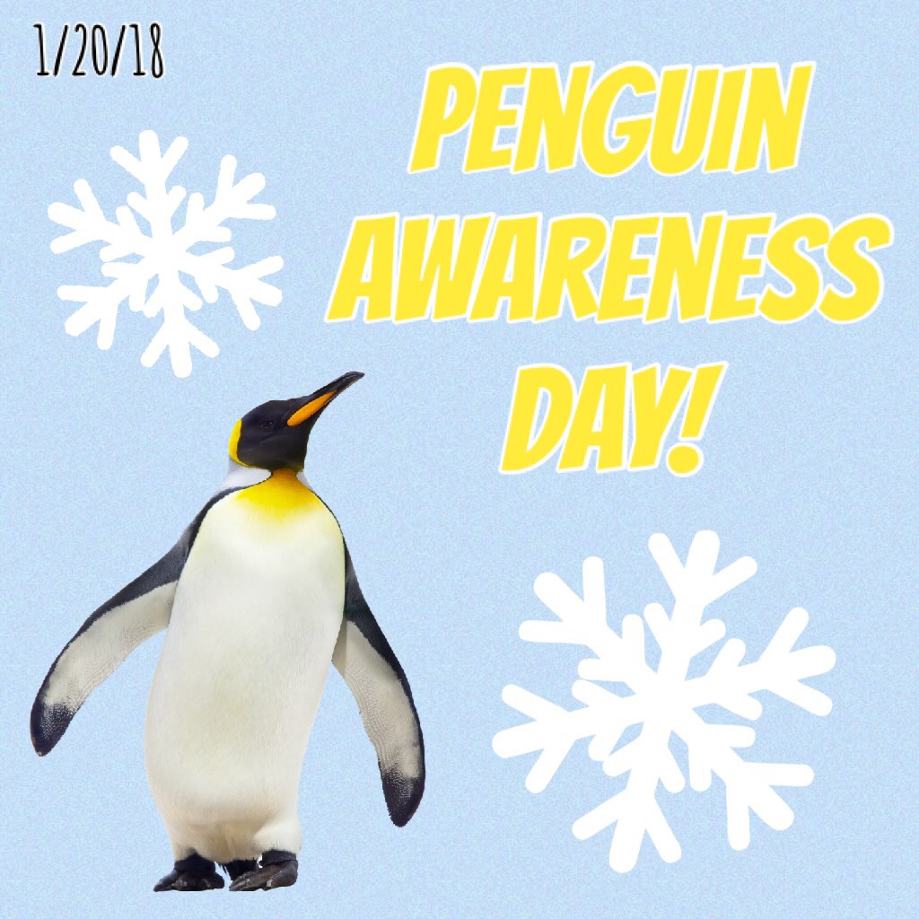 My bro loves penguins. 😆 🐧 ❄️ It’s also Cheese Lovers Day. 😂 🧀 QOTD: 🍒 or 🥑 ? AOTD: 🍒 , I used to eat them out of the jar cuz I loved them so much, haven’t had them in a while tho. 😝 I’ve never had an avocado, but Idt I’d like it anyway. 🤨 🥑 