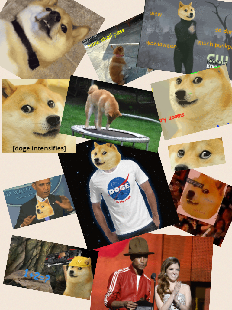 More...DOGE!!!!! What more is there to say?