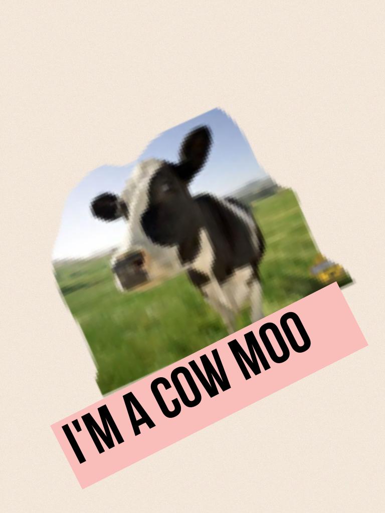 I'm a cow moo 😇😇😇😇