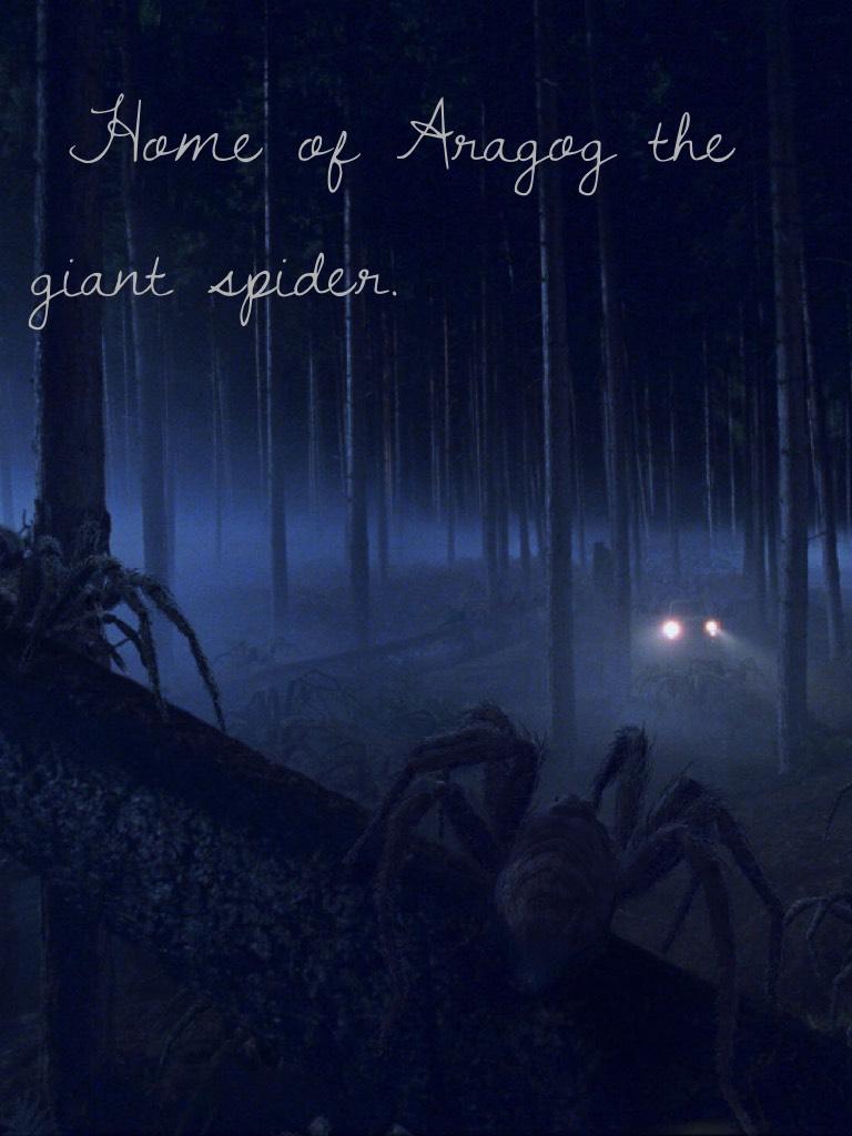 The home of Aragog the giant spider.