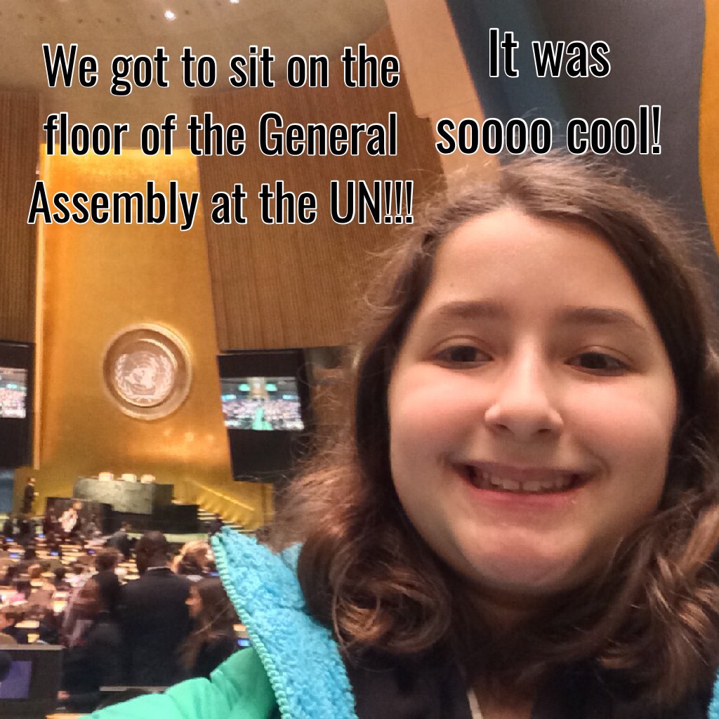 I got to sit on the floor of the General Assembly at the UN!