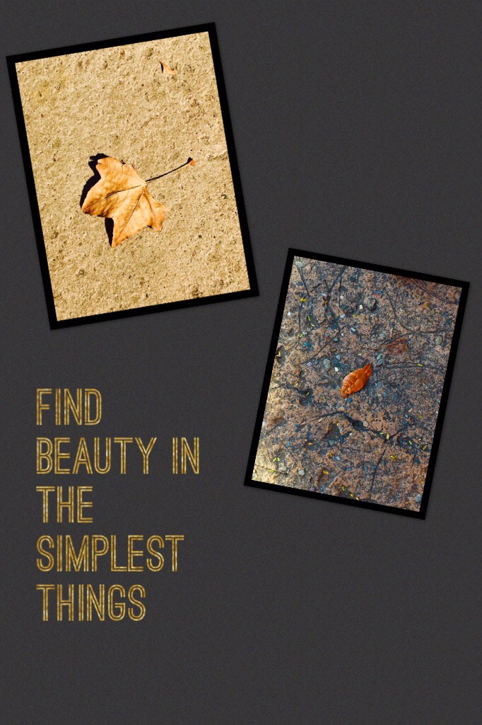 Find beauty in the simplest things