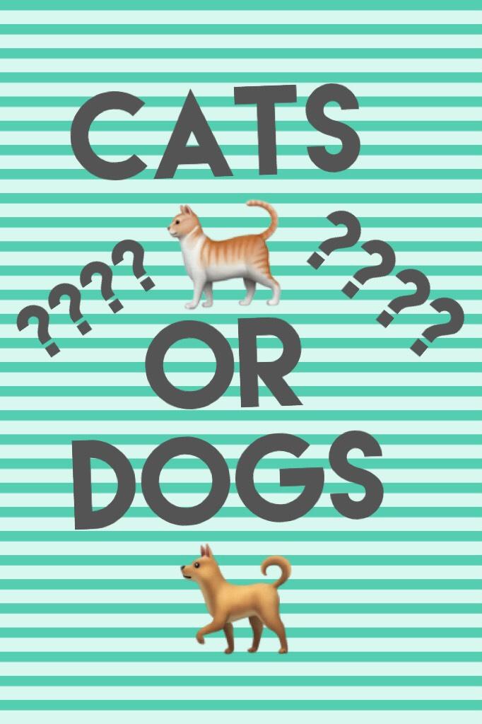 Cats 🐈 Or Dogs 🐕 