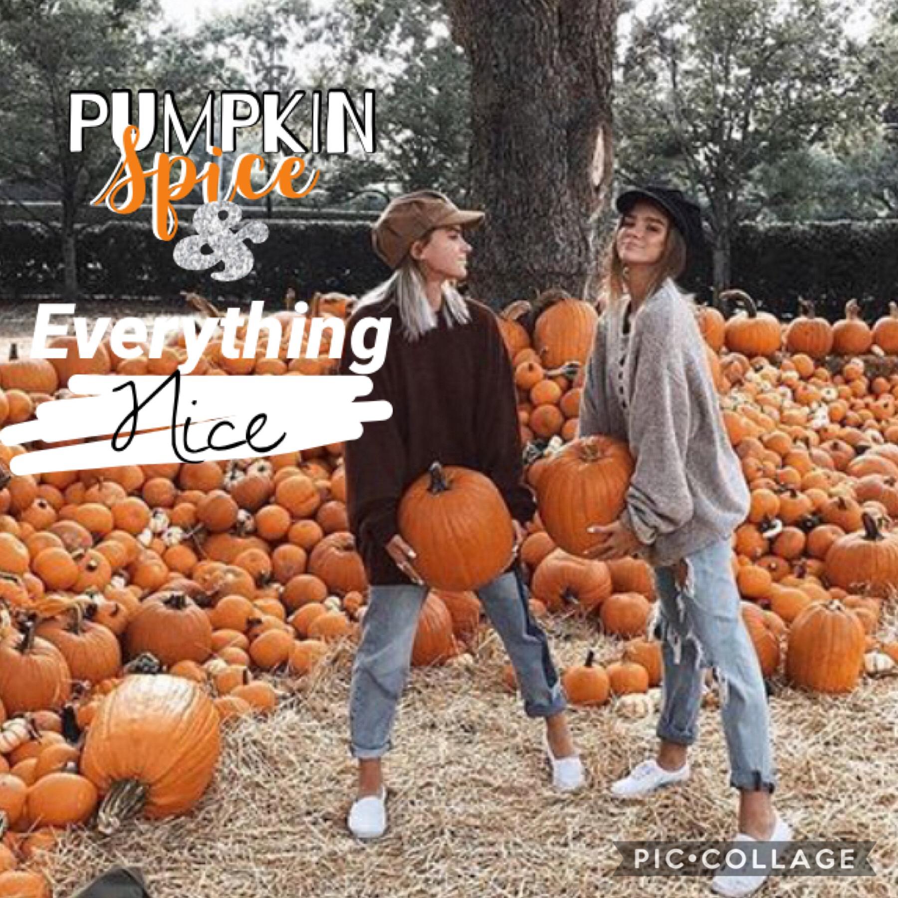 🍂tAp🍂
🎃pυмpĸιn ѕpιce & everyтнιng nιce 🎃
What’s your favorite thing about fall? 