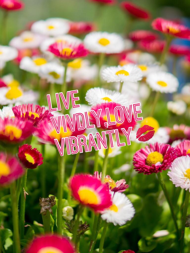 LIVE VIVDLY,LOVE VIBRANTLY💋