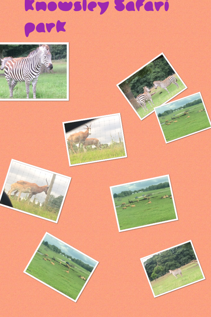Knowsley Safari park !!!!!!