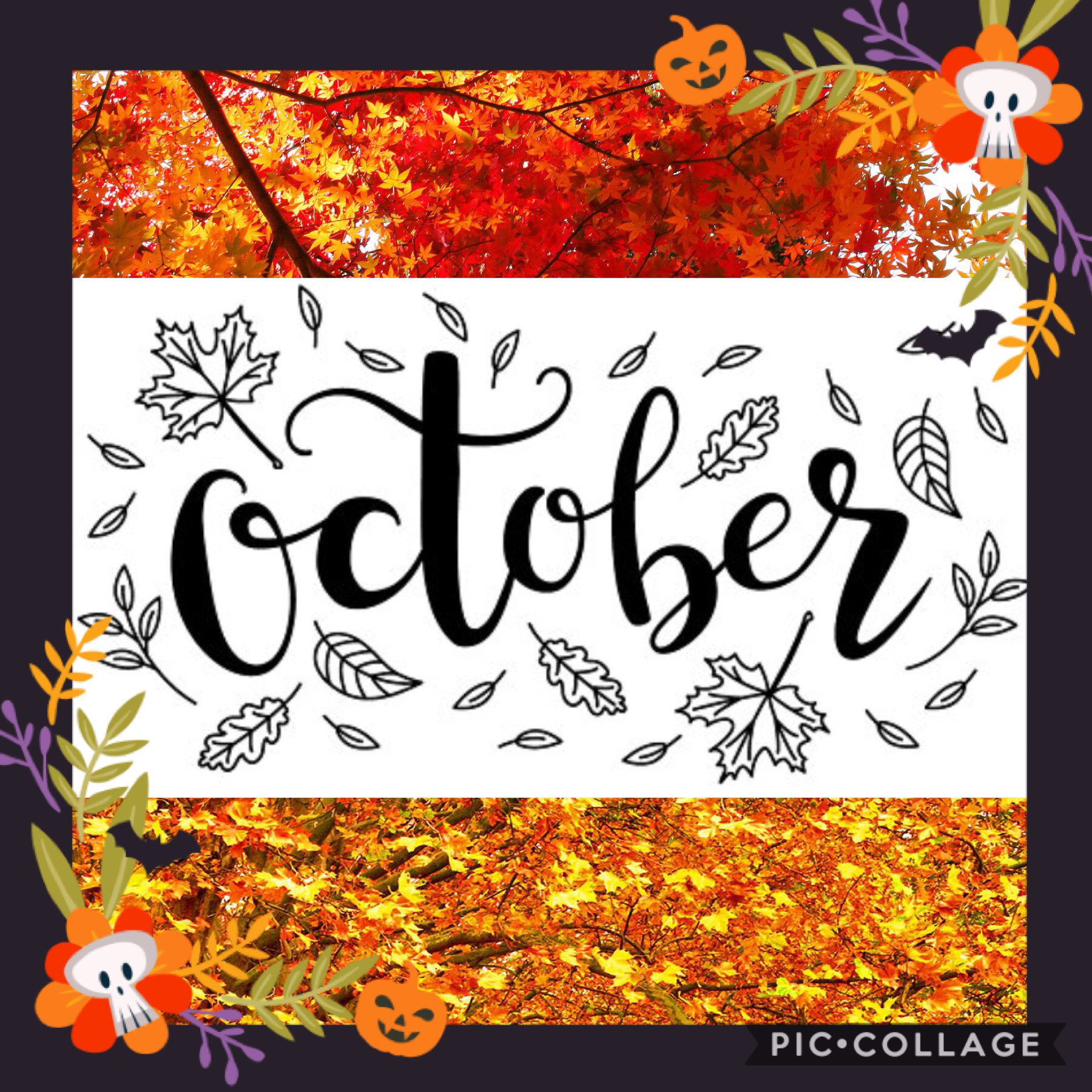🍂🍁Tap🍁🍂
Less than a week until Halloween!!!😆
Qotd: What are you going to be for Halloween?🎃👻
Aotd: Gryffindor witch from Harry Potter! ⚡️❤️💚💙💛🦁
🧡🖤🧡🖤🧡🖤🧡🖤🧡🖤🧡🖤🧡🖤🧡🖤🧡🖤🧡🖤🧡🖤🧡