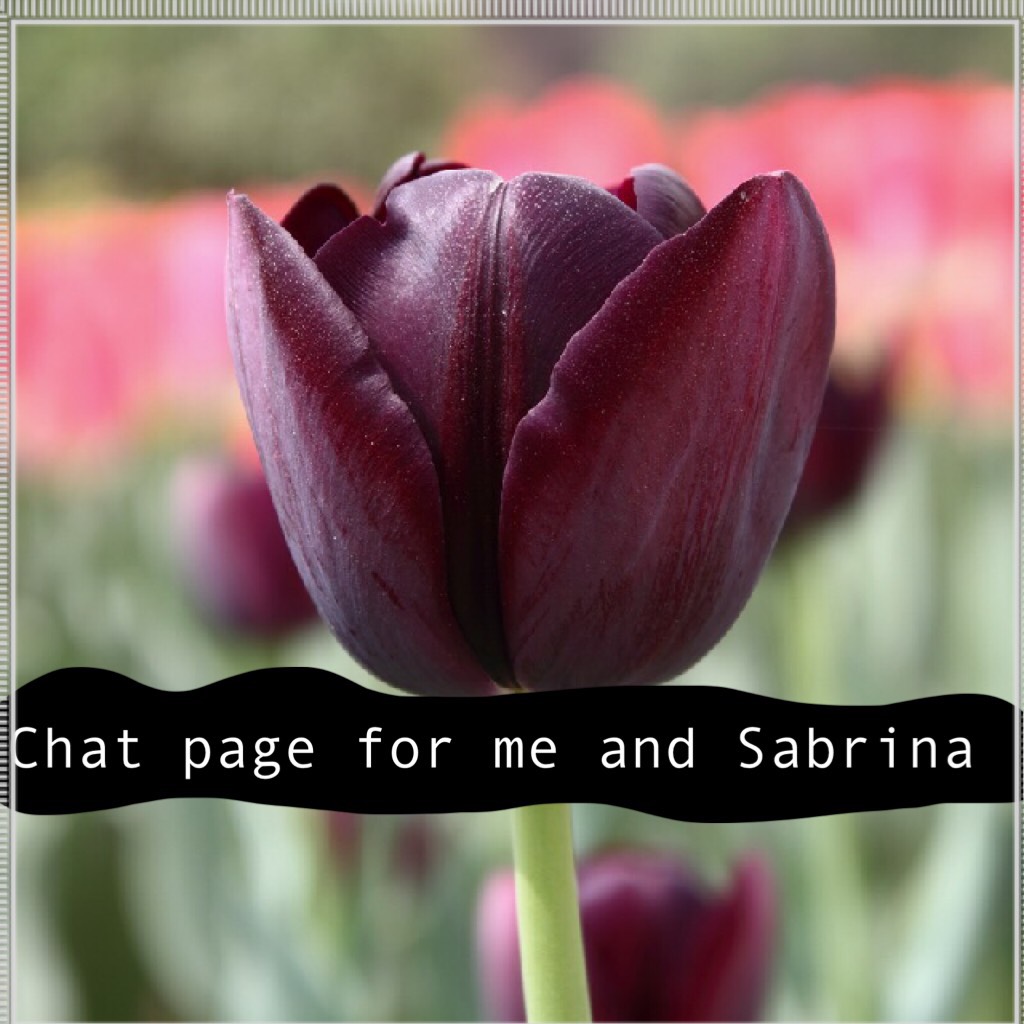 Chat page for me and Sabrina
