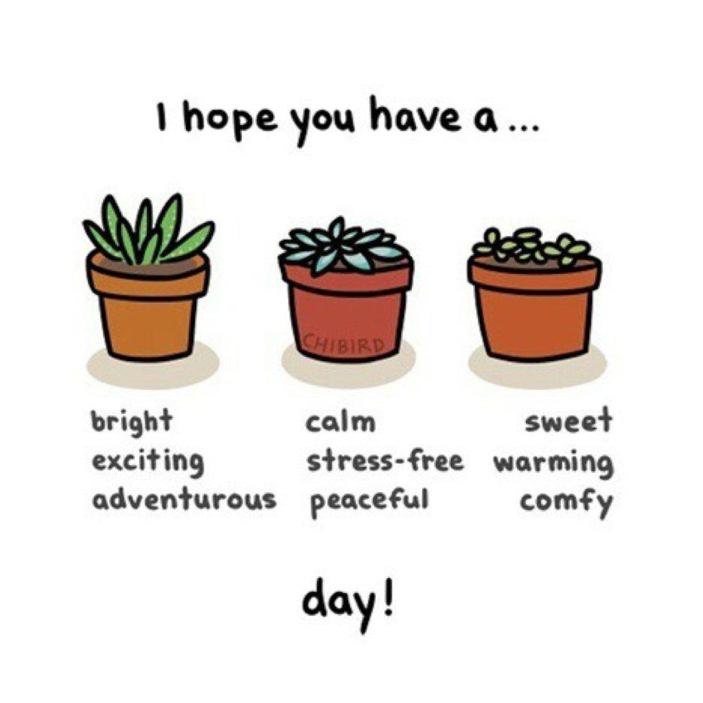 -hello, if you're reading this and it's morning for you, I hope you have such a wonder filled day!💕☁️⭐️ & i hope that everything goes as you've planned 💗💨