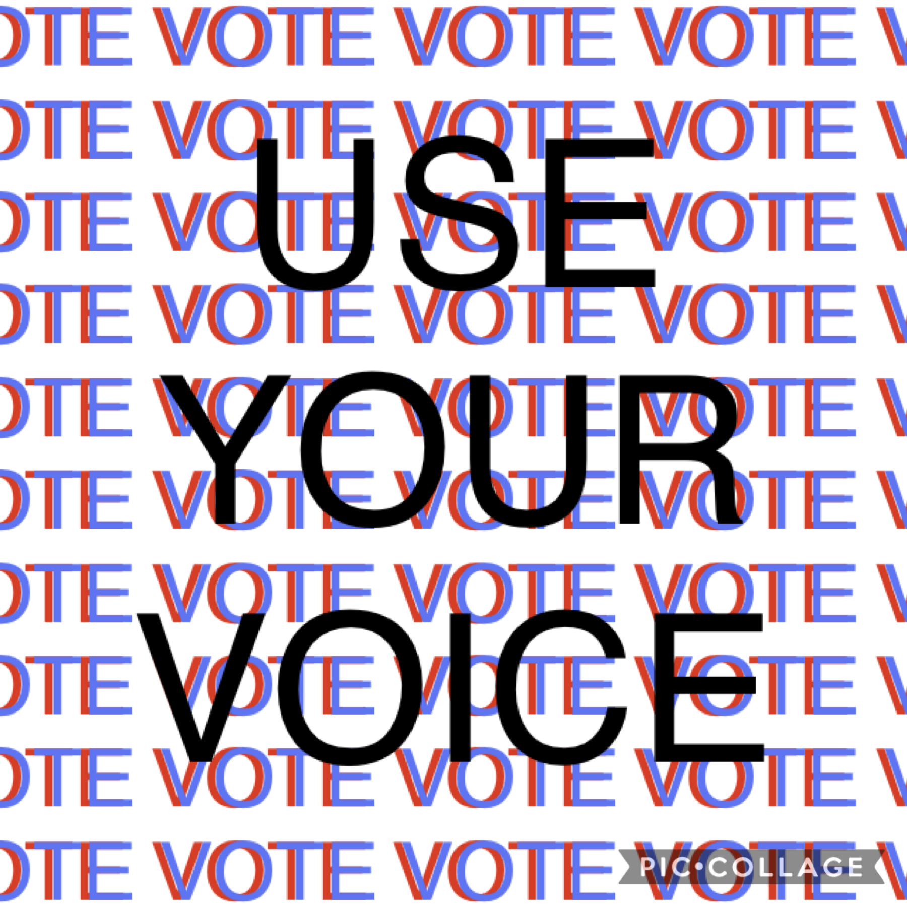 USE YOUR VOICE AND VOTE