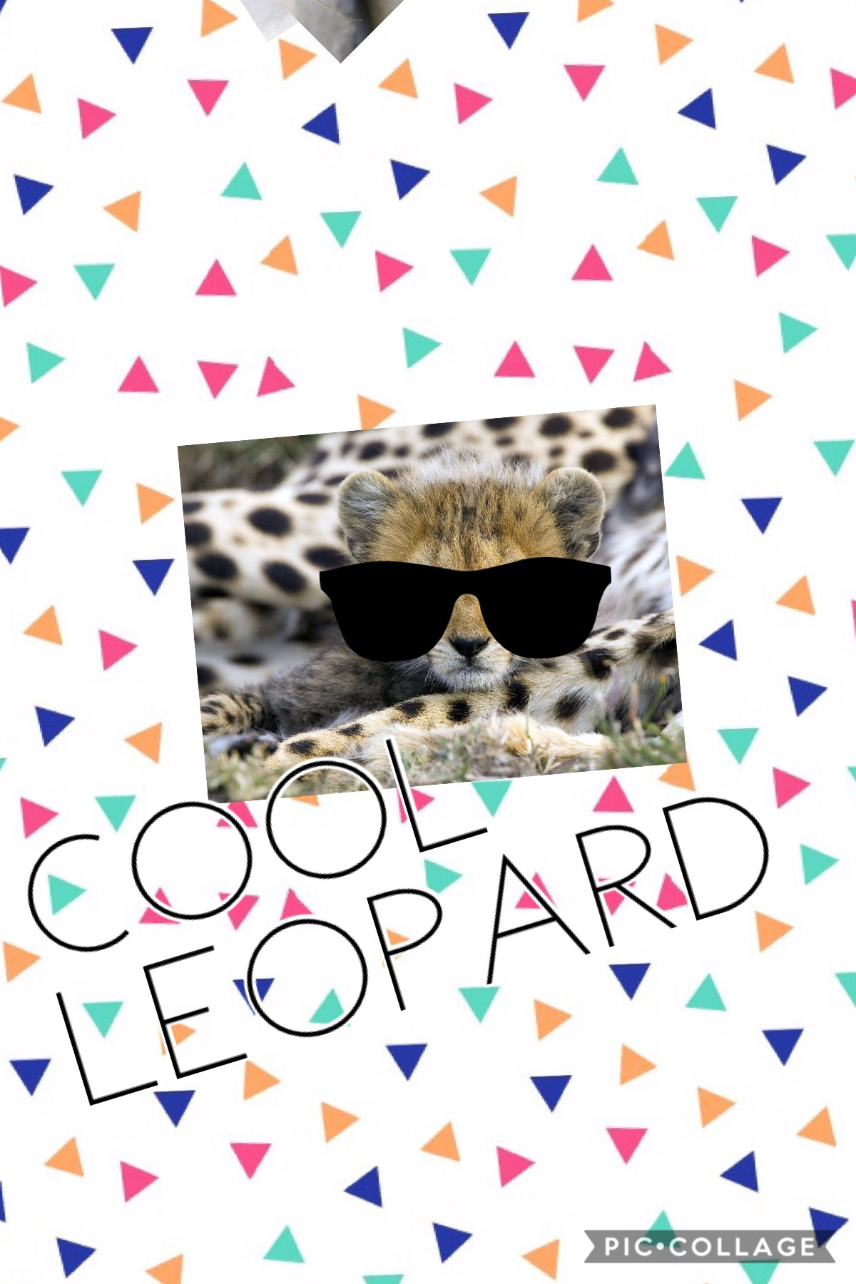 Cool Leopard  