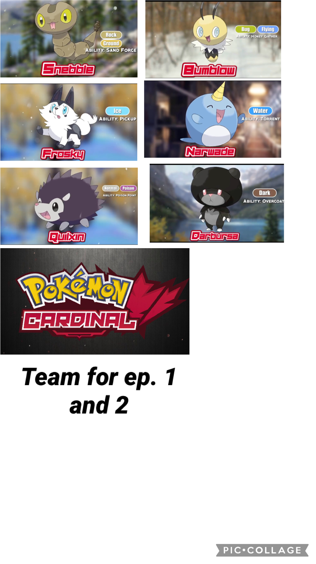 My team for Pokémon cardinal episodes 1 and 2