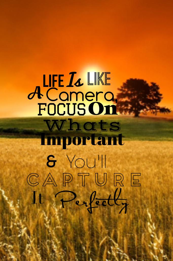 Life is like a camera focus on what's important & you'll capture it perfectly  