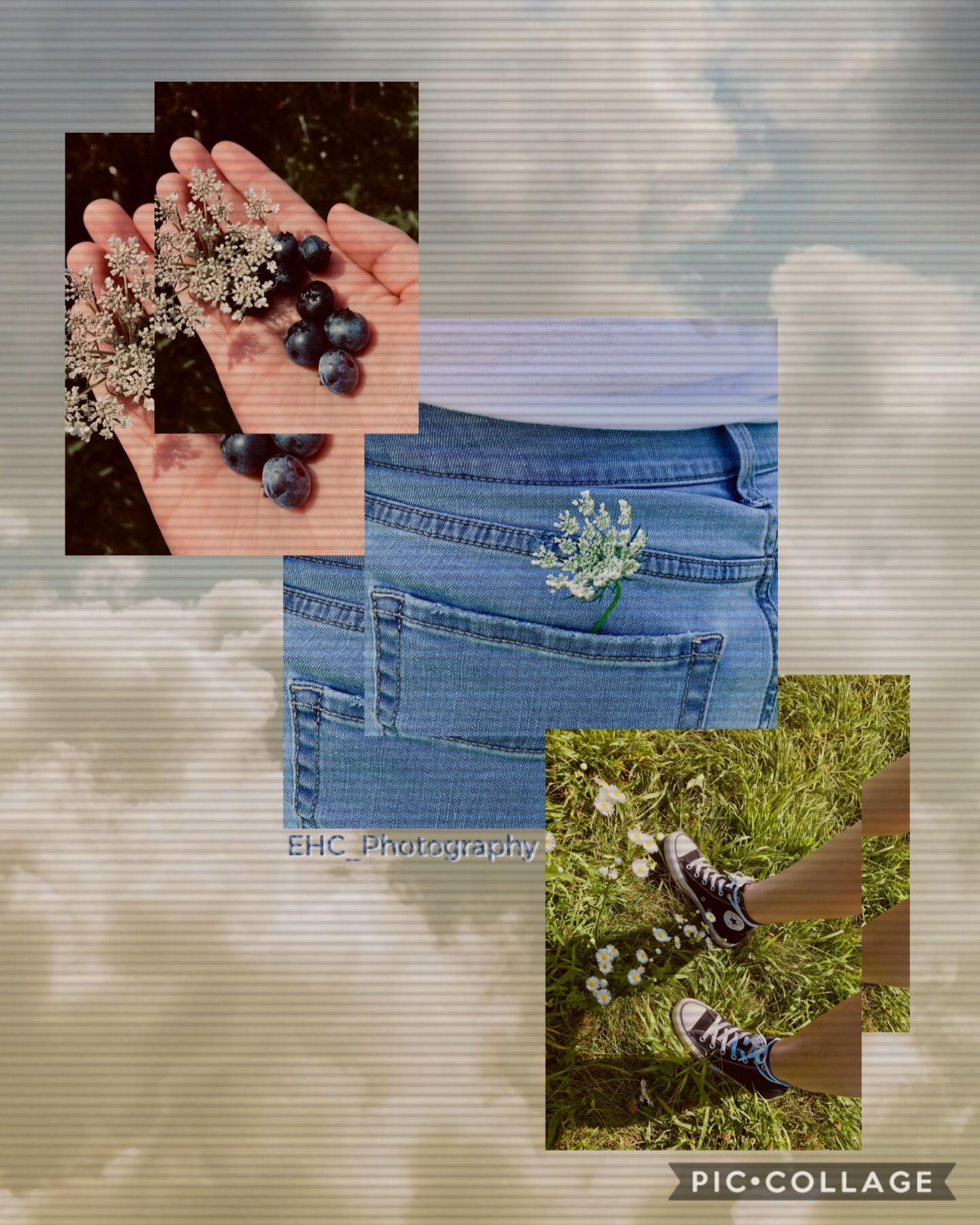 [ 🌼 🍃 🖤 I took these recently when I went blueberry picking. ☁️ 📸 👖 ] It’s been forever since I’ve posted, and caught up as well... 😬 How’ve you guys been??? 🙃 I’ve been alright and busy, but doing hardly anything at the same time if you get me. 🤙🏻 