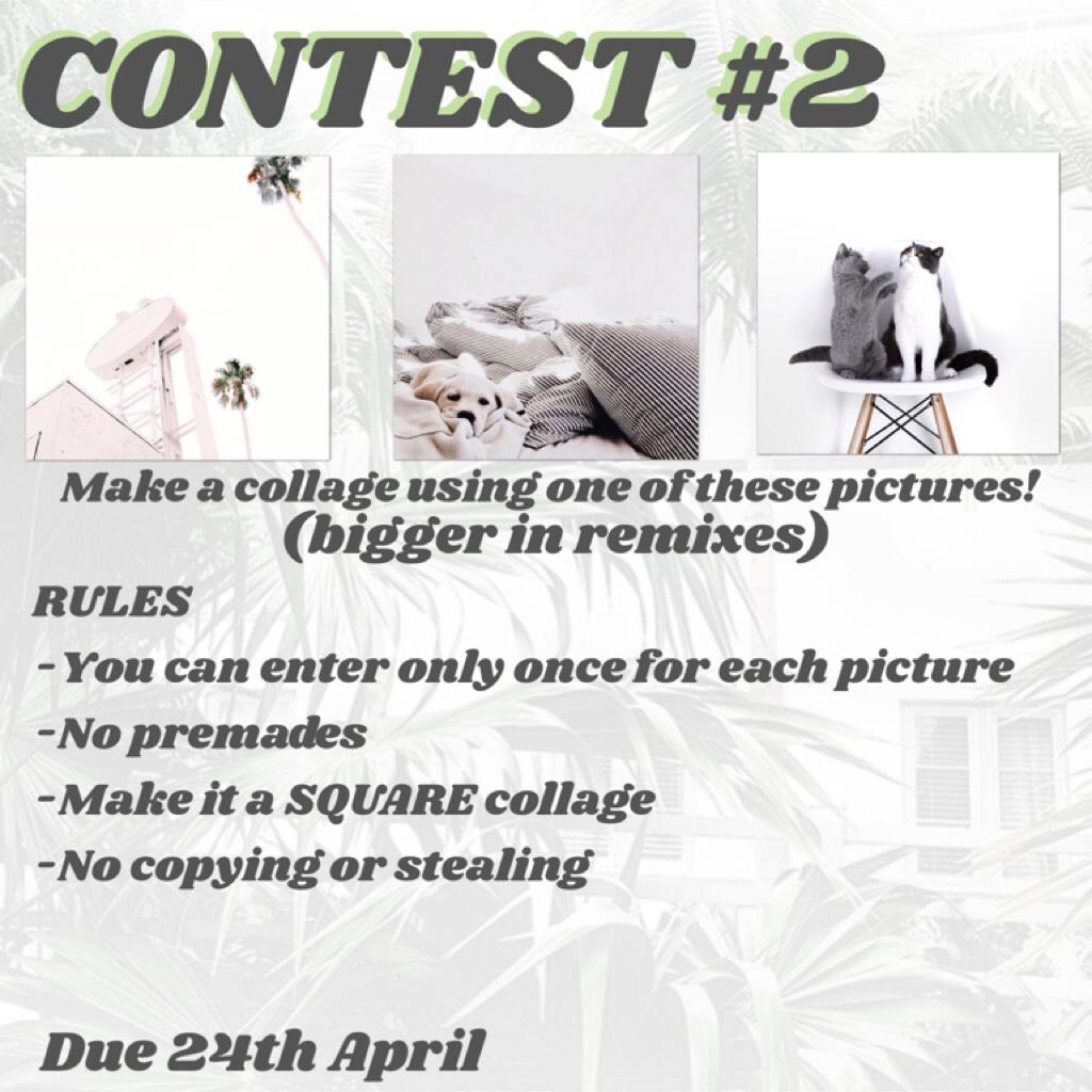 Contest #2