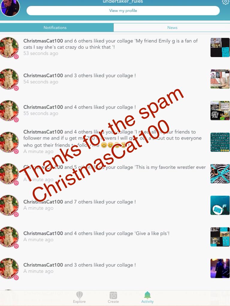 Thanks for the spam ChristmasCat100