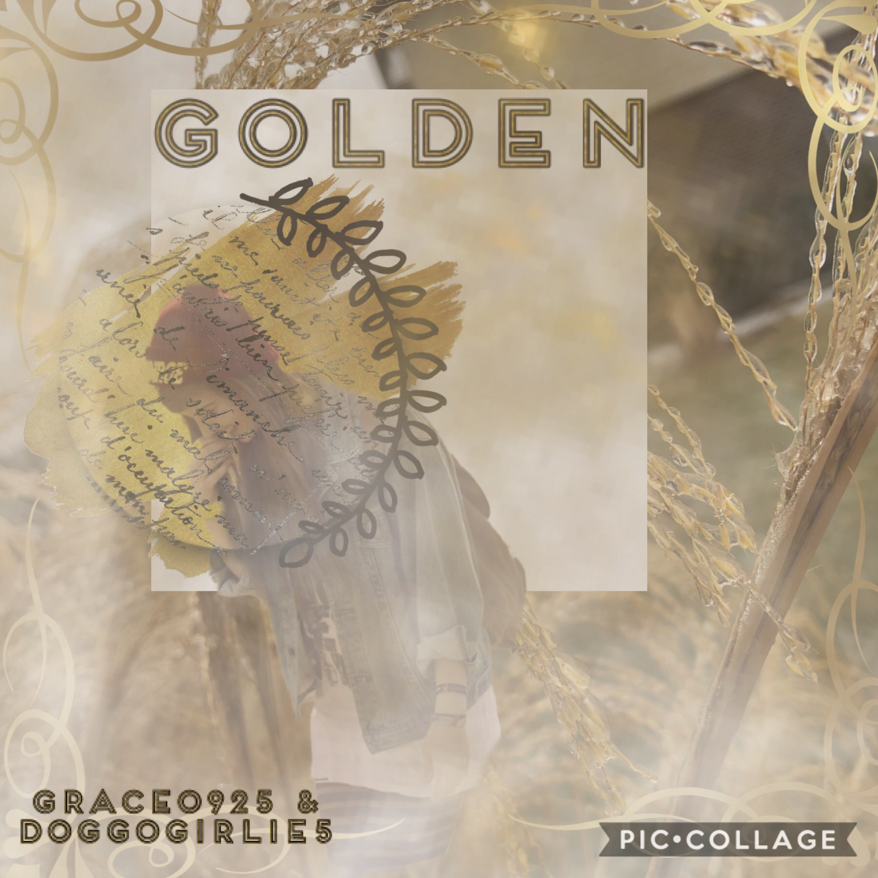 ⚜️⚜️🌾🌞🌾⚜️⚜️
Collab with my fav, DOGGOGIRLIE5!!
-Grace0925