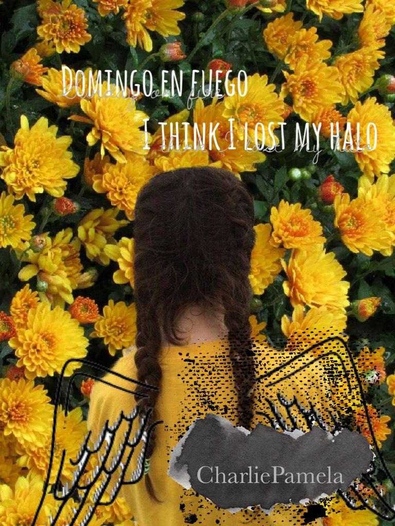 Yes, I actually translated Domingo en fuego to Sunday on fire

Yay u found me double tap if u did
