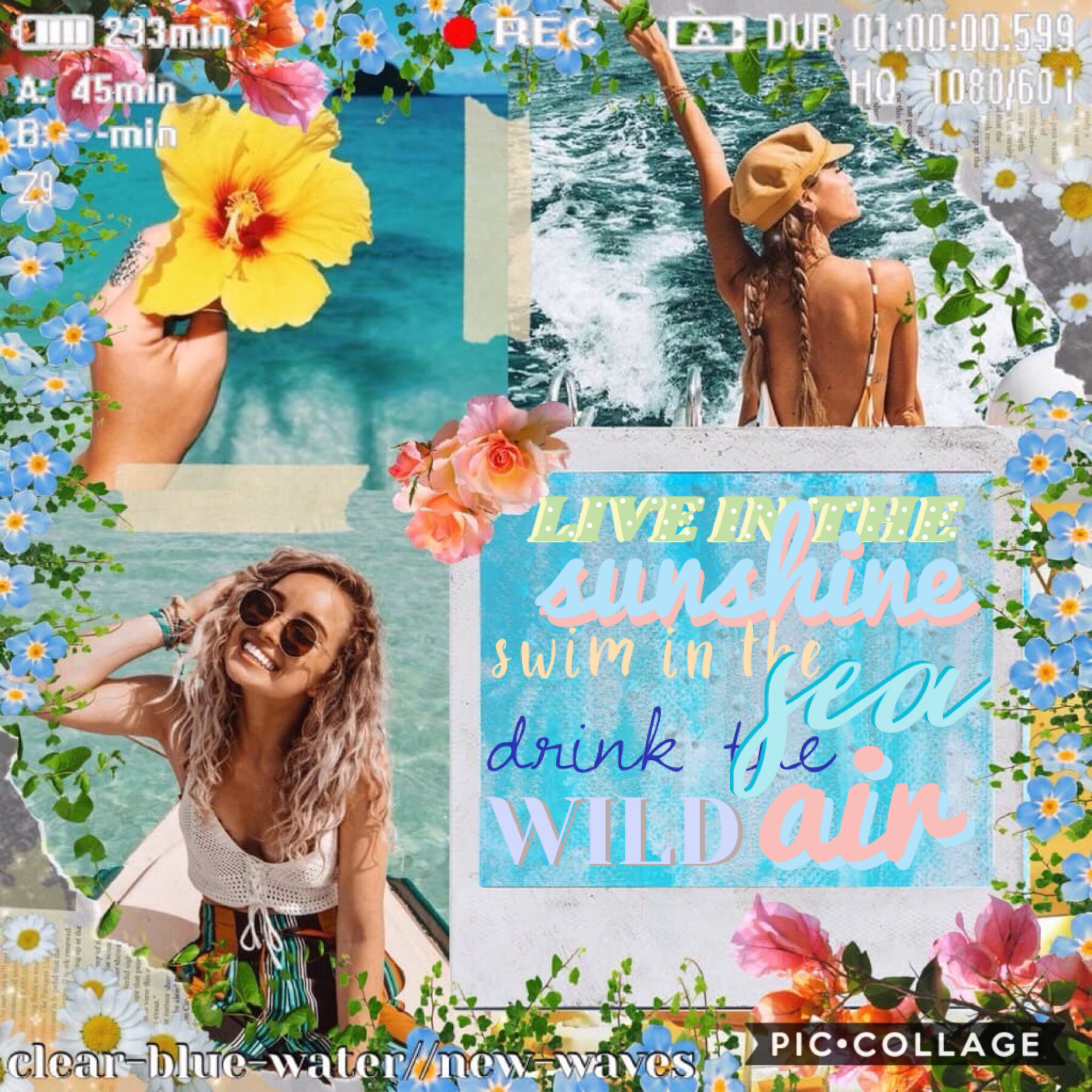 Collab With🥁...
clear-blue-water!!!💓💓 she’s so nice and makes AMAZING collages!🎨 Go follow her! Don’t forget to join my icon contest 💙🌼 and if you wanna collab just ask🌸🐠🎨
