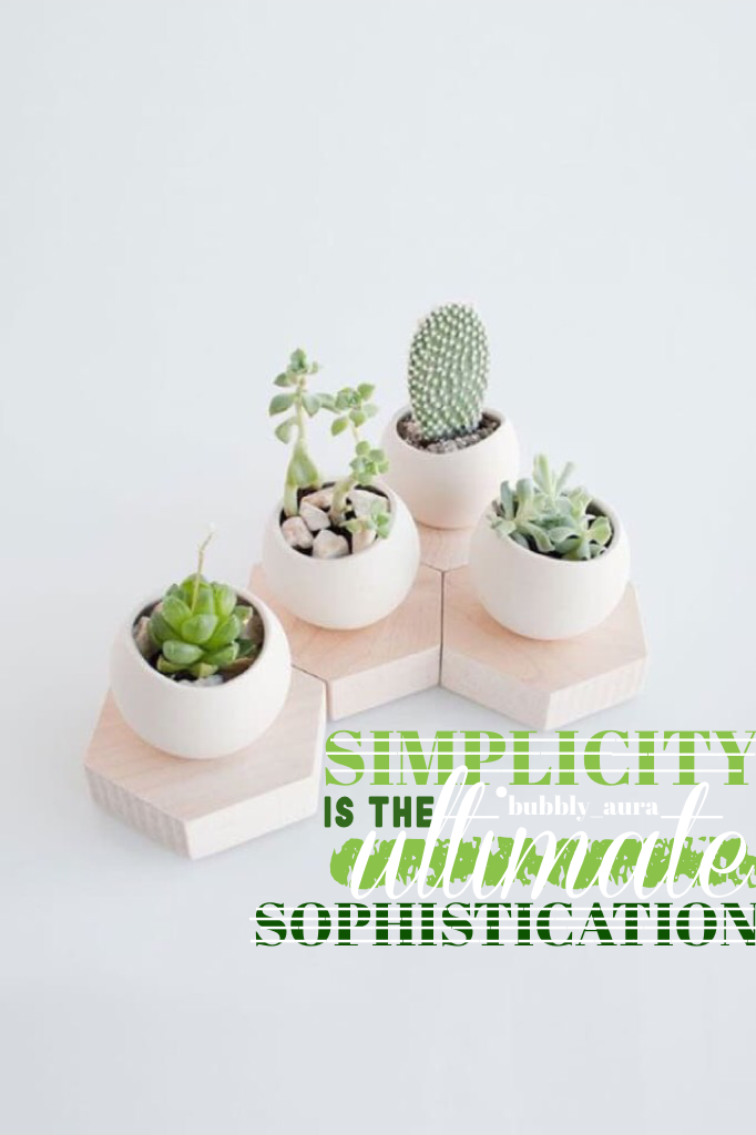 ❤️TAP❤️
I'm bored so here's 3/4 in cacti theme
P.S. I am getting my cacti pics from Travelust
Follow her!