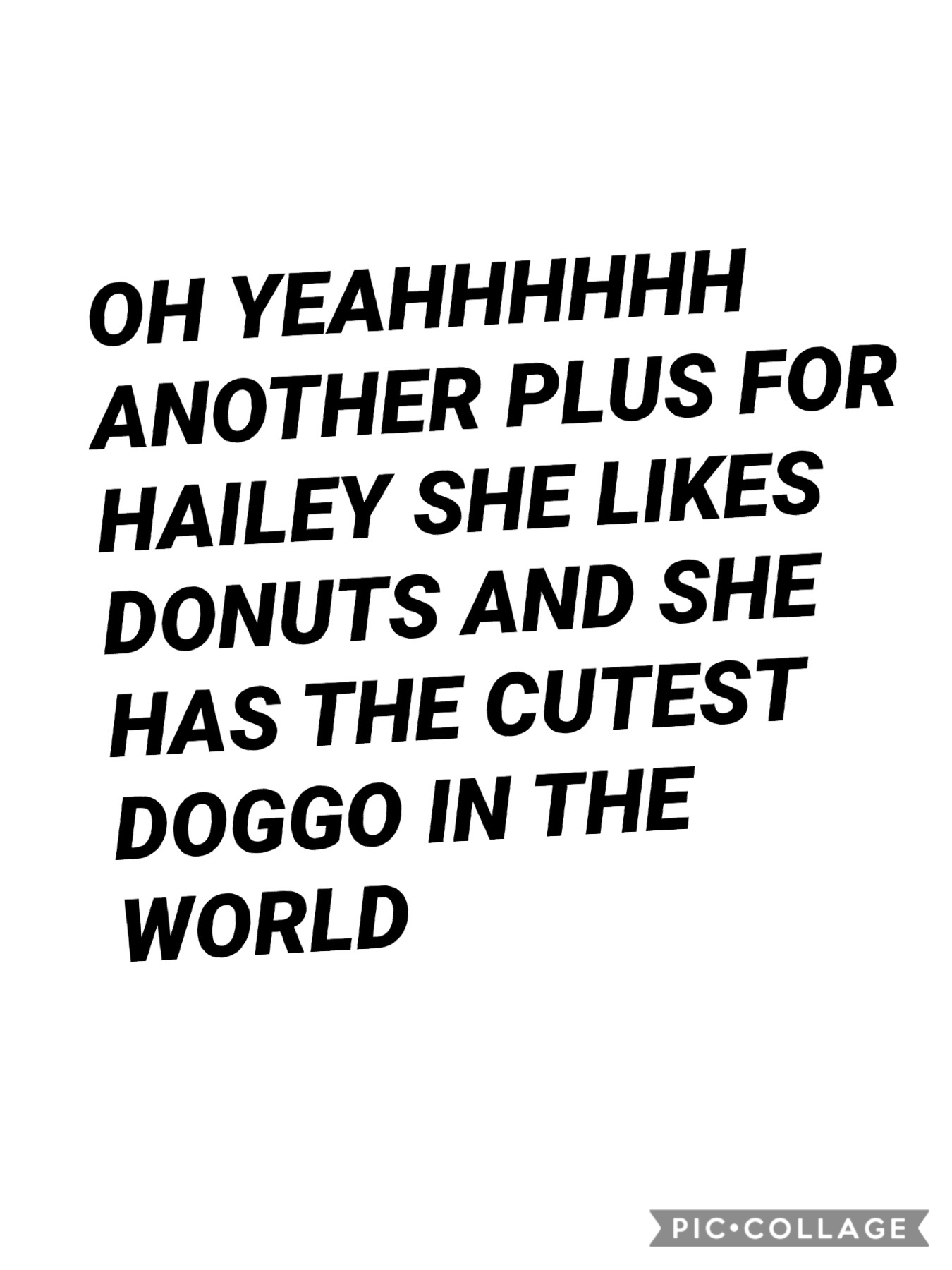 DOGGOS AND DONUT WHO DOESNT LOVE THAT😂😂😂