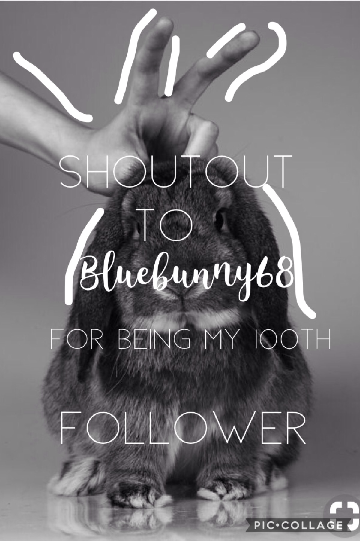 ~TAP for BUNNY-
THANK you!!! I only expected to get 50 at max followers!!! YAY!!